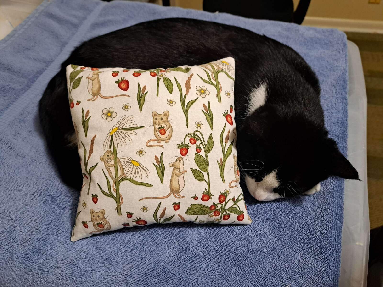 Handmade Strawberry Mouse Cat Pillow