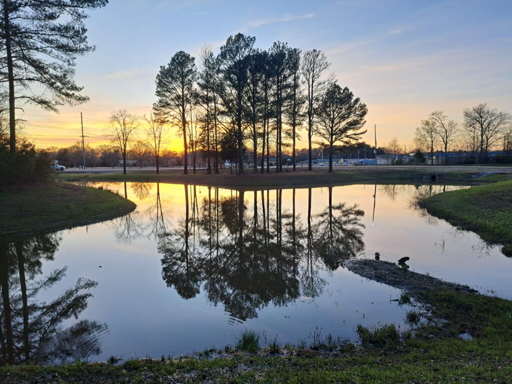 A tranquil pond reflecting tall pine trees and a vibrant sunset sky, with soft ripples on the water and grassy banks surrounding the scene.