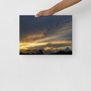 September 10, 2022 - 7:00 PM - Thin Canvas